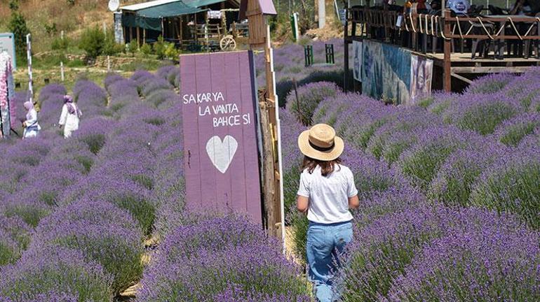 Türkiye Kültür Yolu Festivali’nin yeni durağı: Sakarya