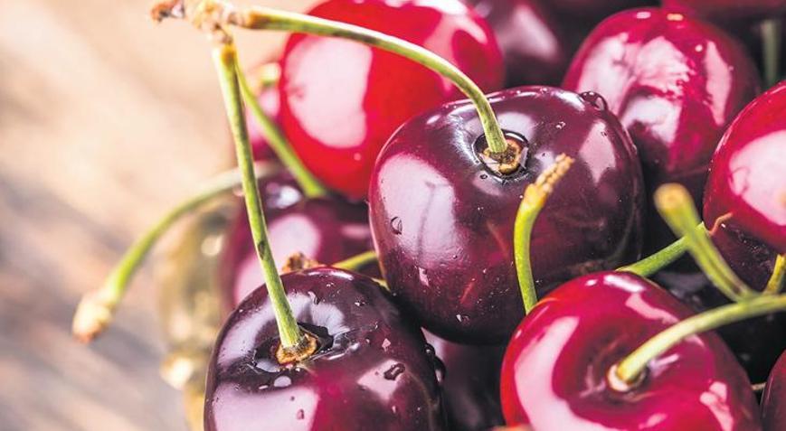 Yaş meyve sebze ihracatında ilk yarı rekoru geldi! 100 bin ton az 700 milyon dolar fazla