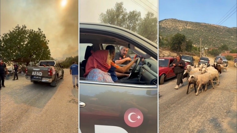 Aydın’da zeytinlik ve otluk alanda yangın; iki mahalle tahliye edildi