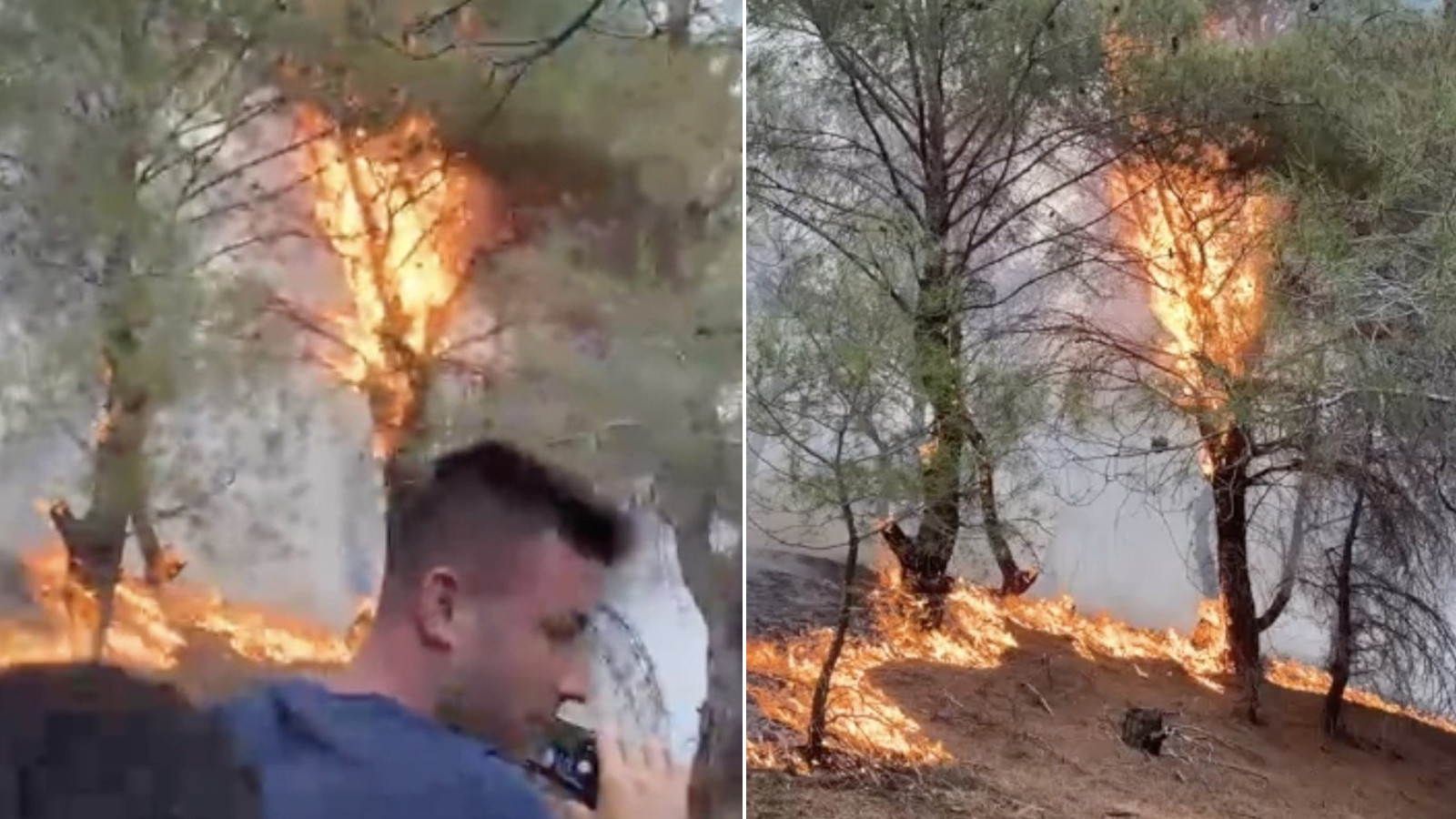 Balıkesir’de korkutan orman yangını