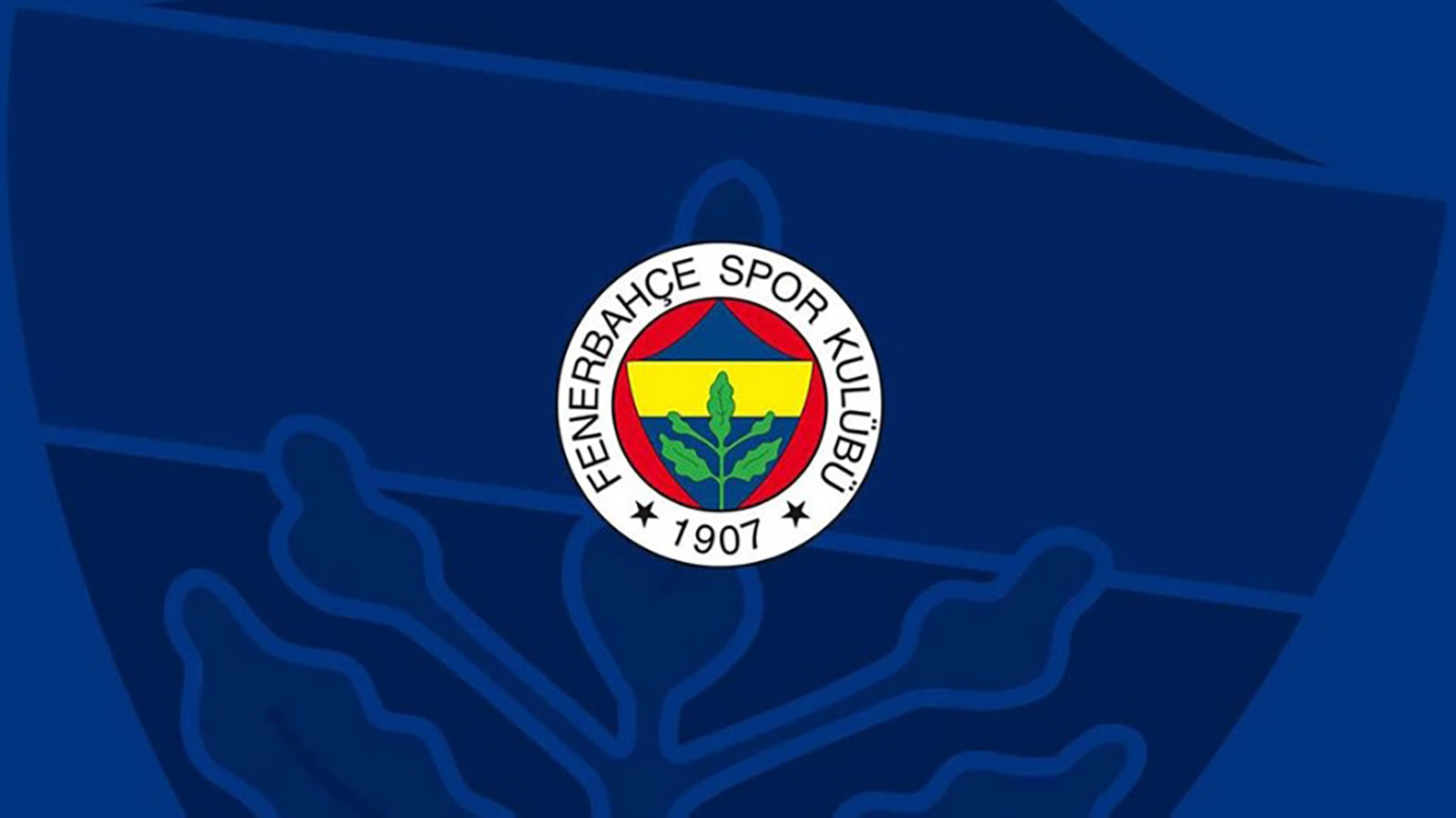 Fenerbahçe Futbol A.Ş.’nin yeni yönetim kurulu resmen açıklandı! Mahmut Uslu detayı dikkat çekti