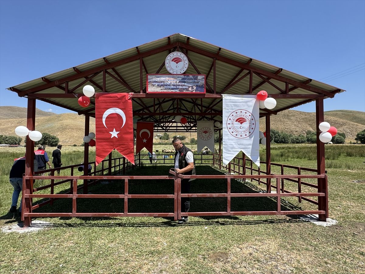 Hakkari’de kadın üreticiler için “gölgelik süt sağım alanı” açıldı