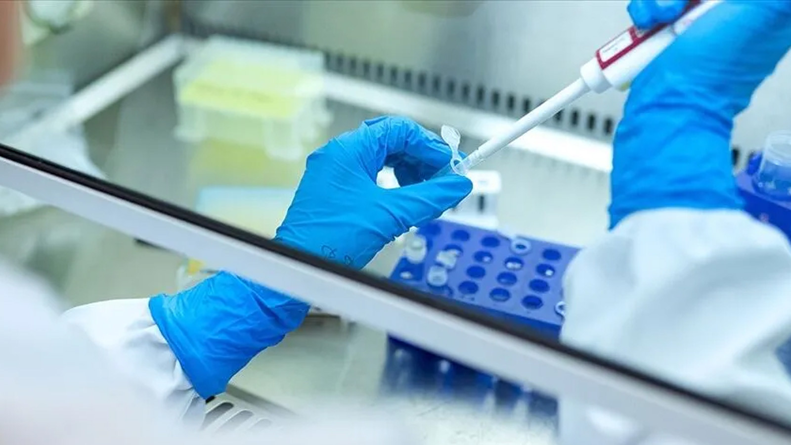 Kanserde kritik eşik: DSÖ’den 35 milyon vaka uyarısı
