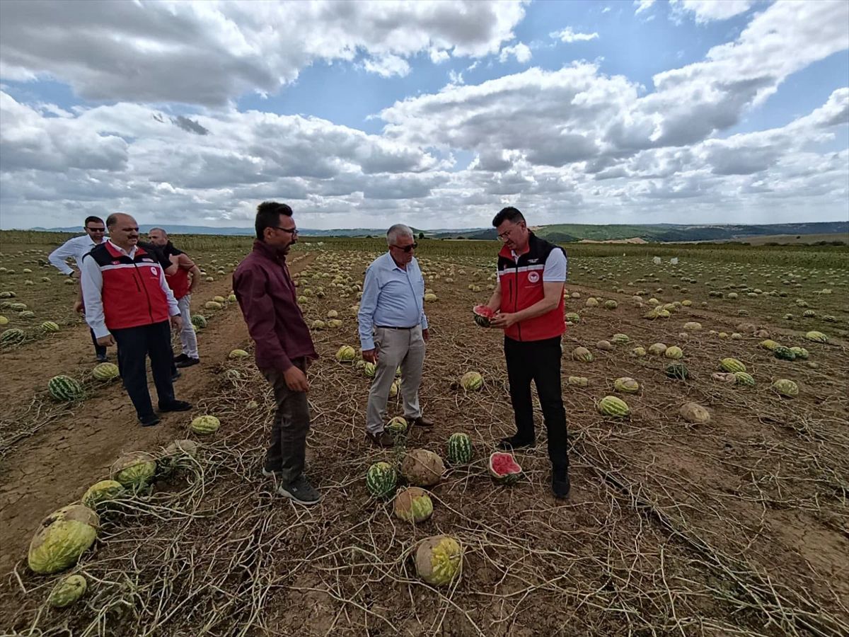 Tekirdağ’da doludan zarar gören tarım arazilerinde hasar tespit çalışmaları sürüyor