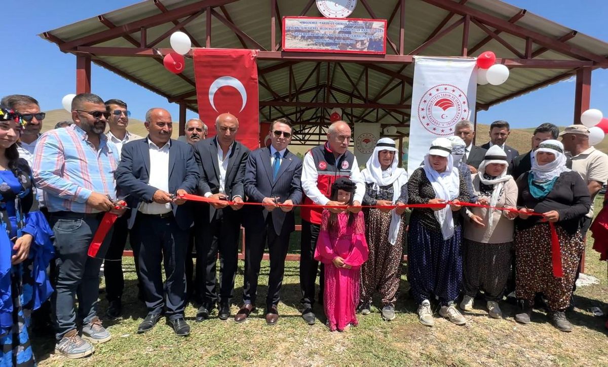 Yüksekova’da berivanlar gölgeliğe kavuştu