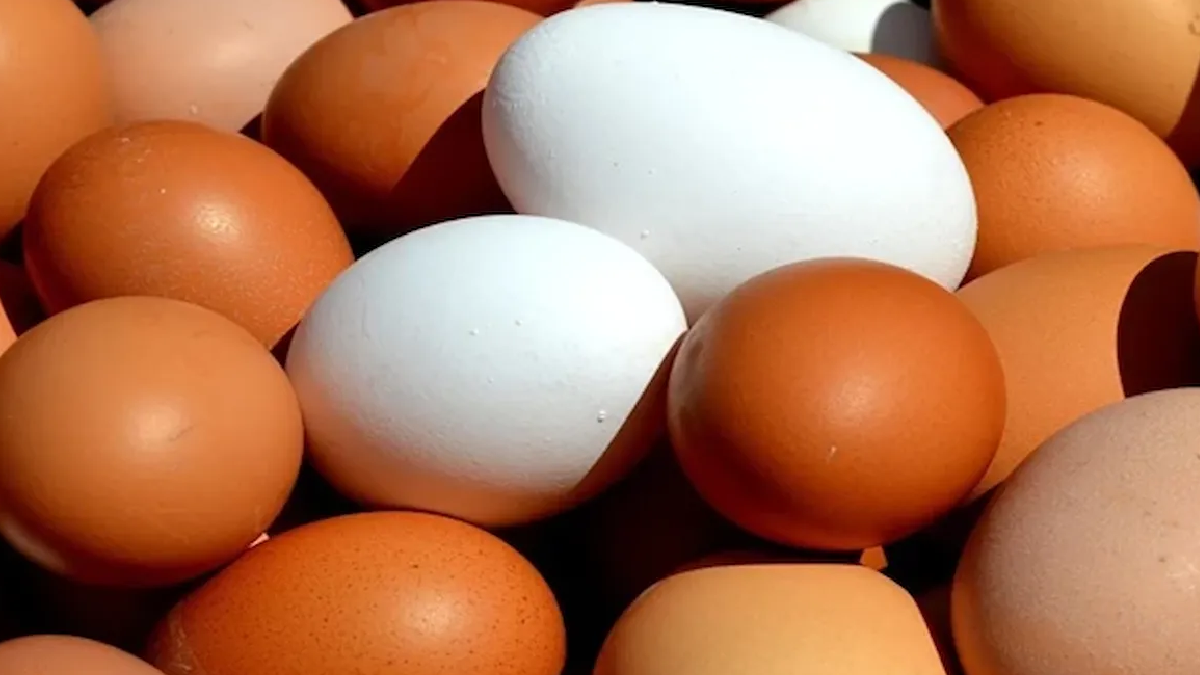 Yumurta yiyenlere çağrı yapıldı
